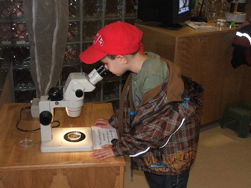 NFLD_drive_to_and-viking_settlement 727.jpg - science museum.
